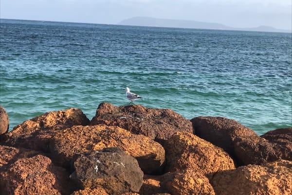 Photo by Nomxolisi M.