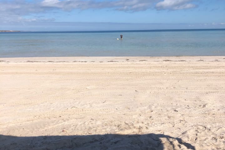 Photo by Kristine H.