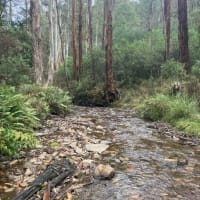 Photo by Brenden and Lisa Milkins