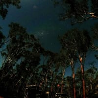 Photo by NightRanger D.