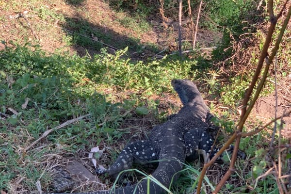 Photo by Ana Cláudia Gomes