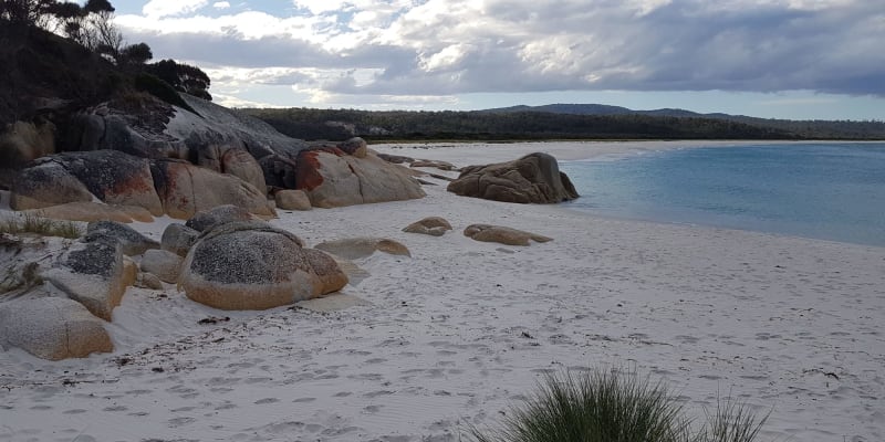 Photo by Christopher H.