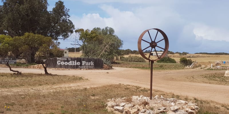 Photo by Olivia Bataligin Averkin