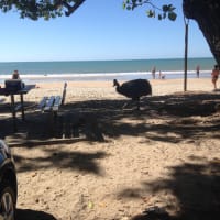 Photo by Christine B.