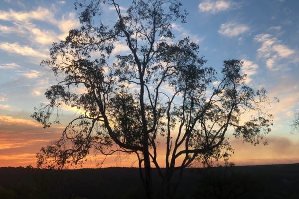 Photo by Vincenzo R.