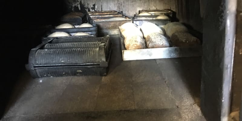 Photo by Christina T.