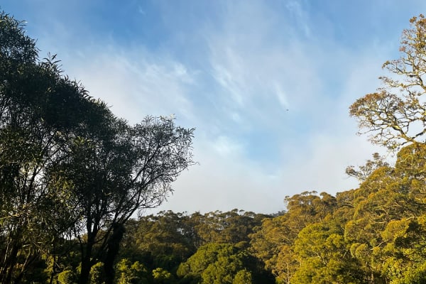 Photo by Imogen & Lachlan