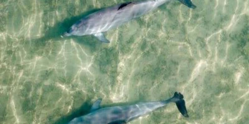 Photo by jennifer b.