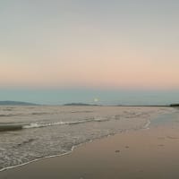 Photo by Gabrielle D.