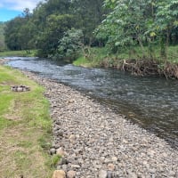 Photo by Phillip  Styles