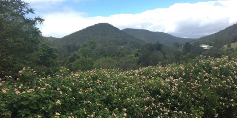 Photo by Madeleine K.