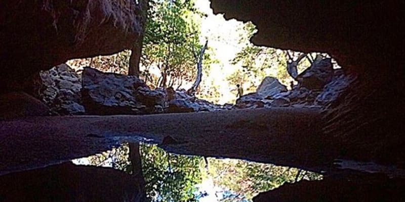 Photograph of Camp with your pets at these 10 campgrounds near Fitzroy Crossing, WA