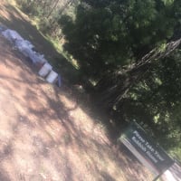 Photo by YoungAdventuresAust