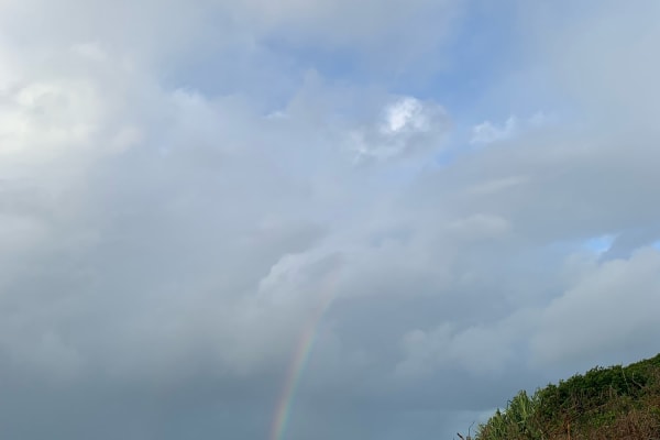 Photo by Mercedes W.