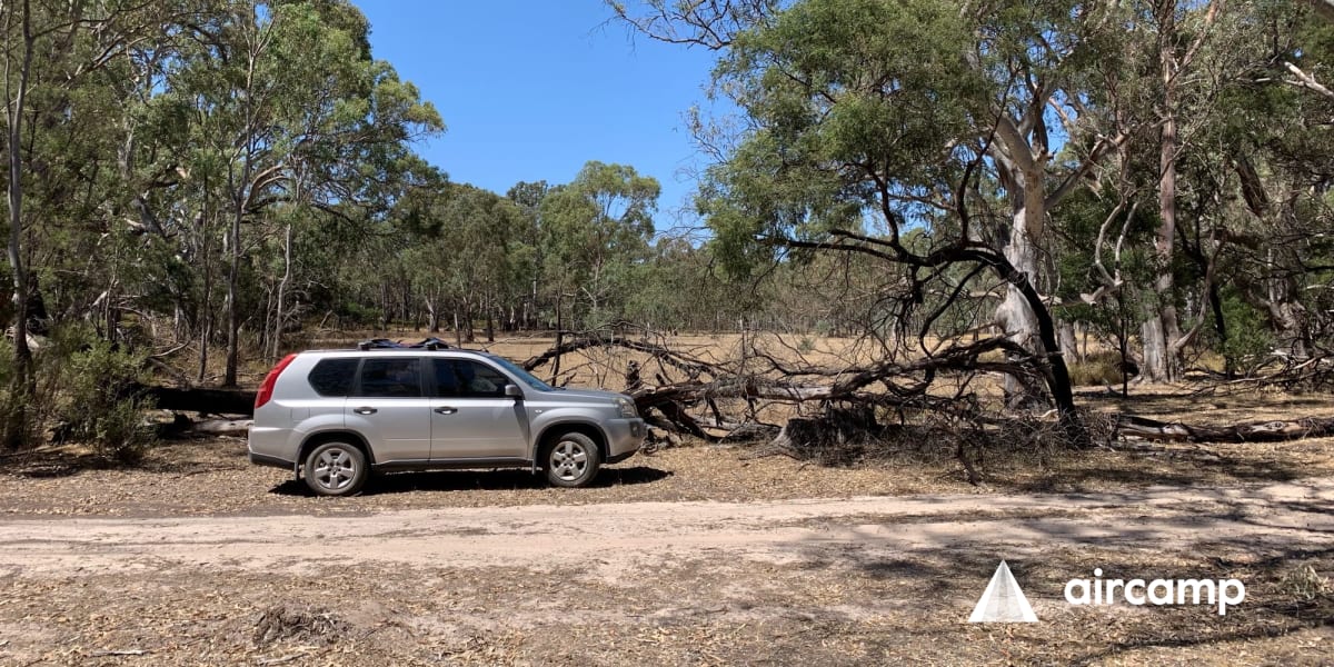 Grassy Clearing Bush Camp