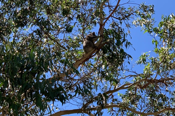 Photo by Kerri-lee M.