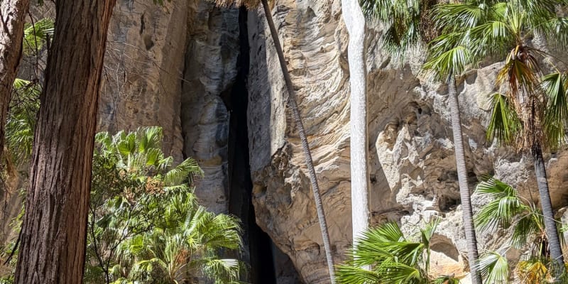 Photo of Carnarvon Gorge Camping Area