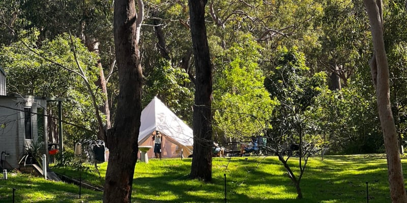 Photograph of Top 7 4WD accessible campsites near Failford, NSW