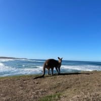 Photo by Ben + Elana