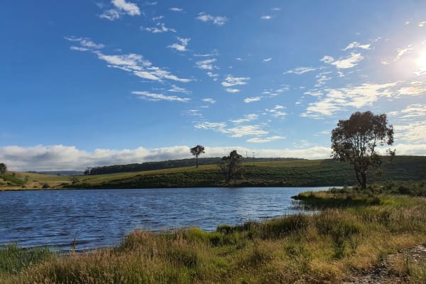 Photo by Tharinidu P.