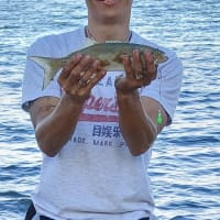 Photo by Tuan Rooster Nguyen