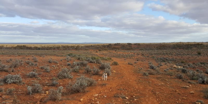 Photo by Chantelle M.