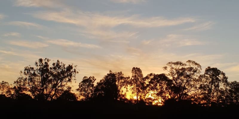 Photo by Michelle D.