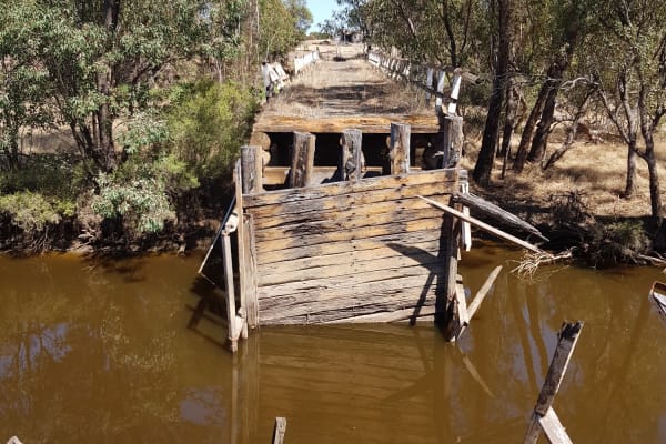 Photo by Connie de Koning