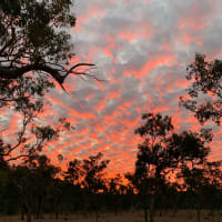 Photo by Corporate to Caravan