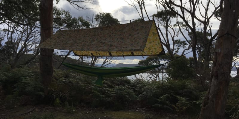 Photo by Francois K.