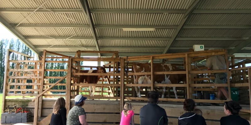 Photo by The blonde nomads