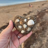 Photo by Samantha G.