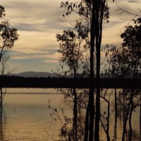 Photo by Wildflower and her Wildlings