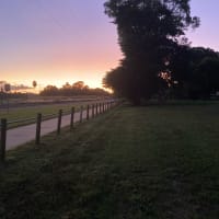 Photo by Lee-Anne F.