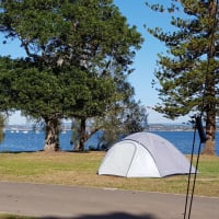 Photo by Shirley AndLuke Sutton