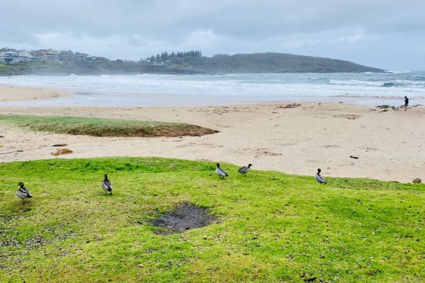 Photo by Krishantha E.