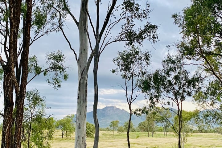 Photo by Andrew & kutti the kelpie