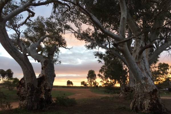 Photo by Francesca S.