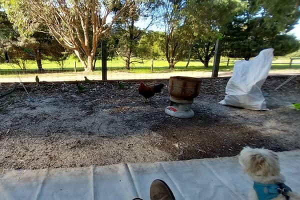 Photo by Colin van den Hoff