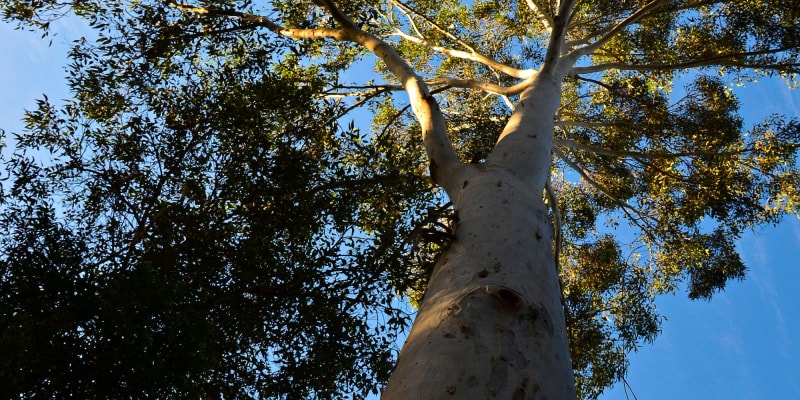 Photo by Hidden Creek Campsite