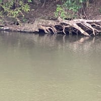 Photo by Phillip  Styles