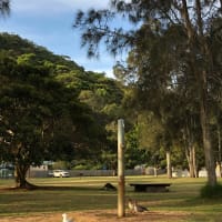 Photo by _haere.ki.waho_