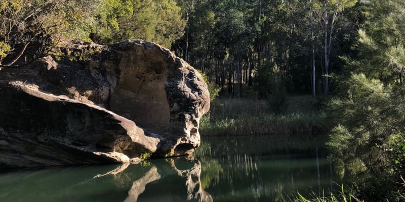 Photo of Carnarvon Gorge Camping Area