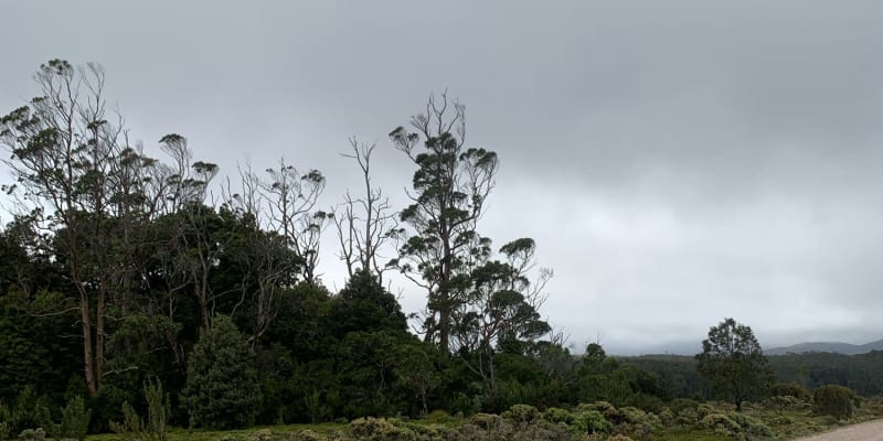 Photo by offsomewhere