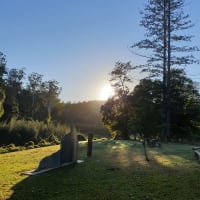 Photo by Rhonda Jenner Symes