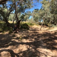 Photo by Elizabeth P.