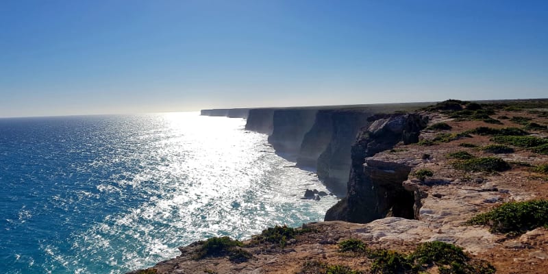 Photo by Olivia Bataligin Averkin