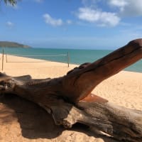 Photo by WANDERINGAUST