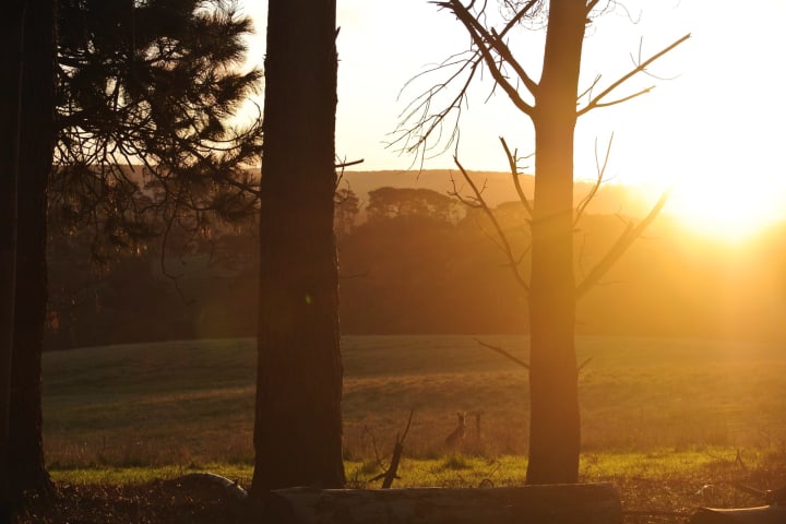 Photo by Brucethegoose