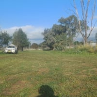 Photo by ★Mimosa☆Turlinjah★